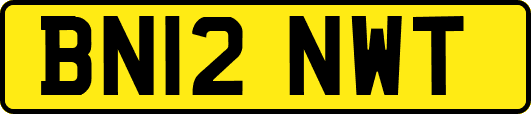 BN12NWT