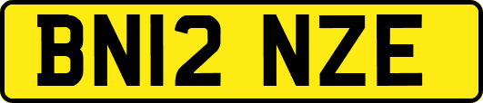 BN12NZE