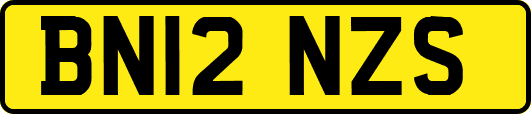 BN12NZS