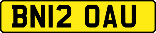 BN12OAU