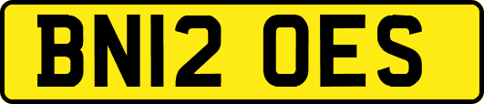 BN12OES