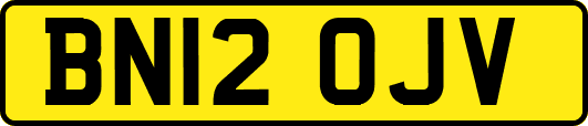 BN12OJV