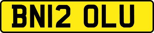 BN12OLU