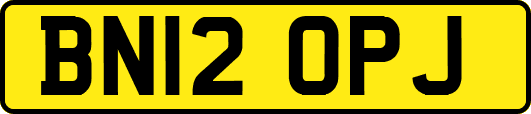 BN12OPJ