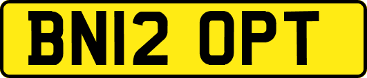 BN12OPT