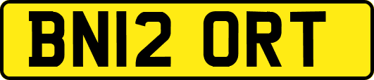 BN12ORT