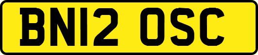 BN12OSC