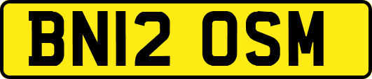BN12OSM