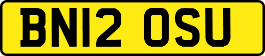 BN12OSU