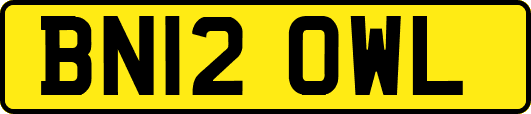 BN12OWL