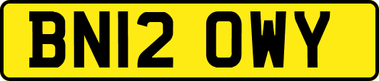 BN12OWY