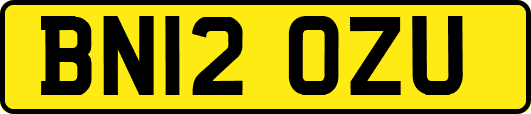 BN12OZU