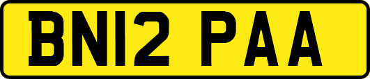 BN12PAA