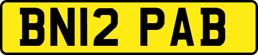 BN12PAB
