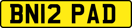 BN12PAD