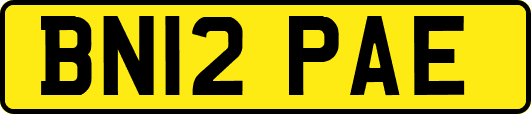 BN12PAE