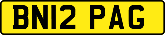 BN12PAG