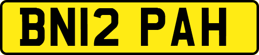 BN12PAH