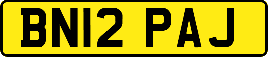 BN12PAJ