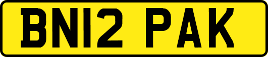 BN12PAK