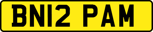 BN12PAM