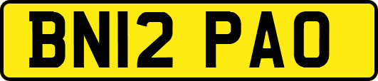 BN12PAO