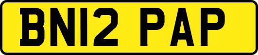 BN12PAP