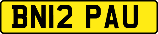 BN12PAU