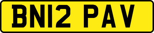 BN12PAV