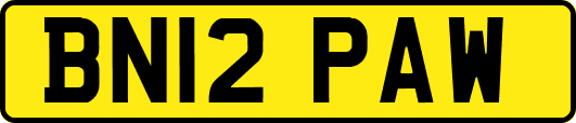 BN12PAW