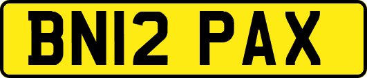 BN12PAX