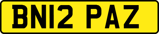 BN12PAZ