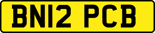 BN12PCB