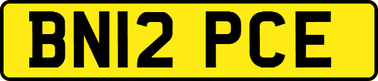 BN12PCE
