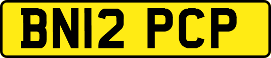 BN12PCP
