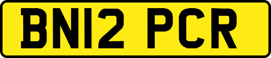 BN12PCR