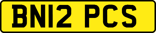 BN12PCS