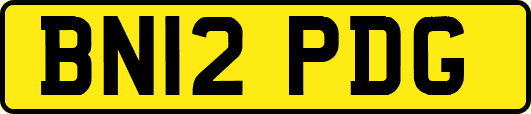 BN12PDG