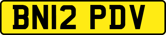BN12PDV