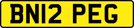 BN12PEG