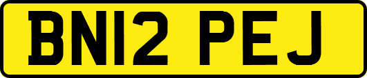 BN12PEJ