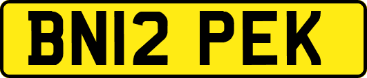 BN12PEK