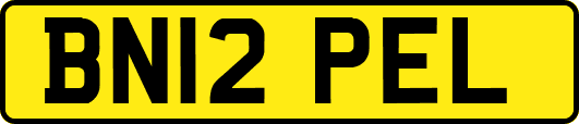 BN12PEL