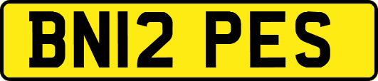 BN12PES