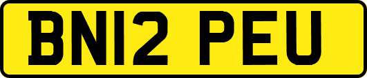 BN12PEU