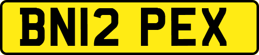 BN12PEX