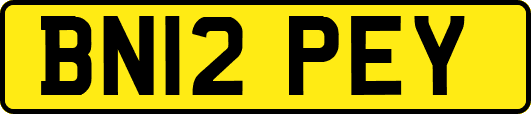 BN12PEY