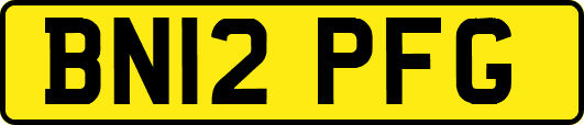 BN12PFG