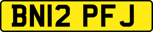 BN12PFJ