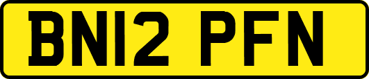 BN12PFN